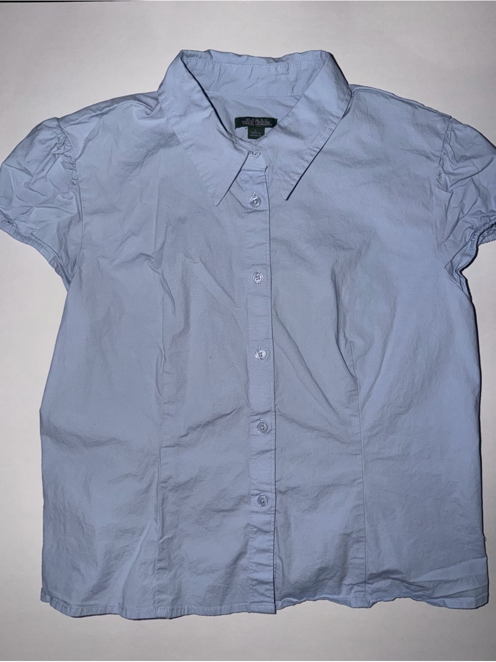 wild fable Pale Blue Puff Sleeve Button-Up Top